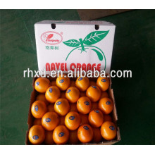 Heiße verkaufende billige Orangen für Großverkauf